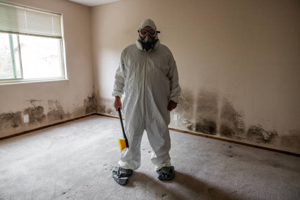 Best Mold Testing  in Old Greenwich, CT